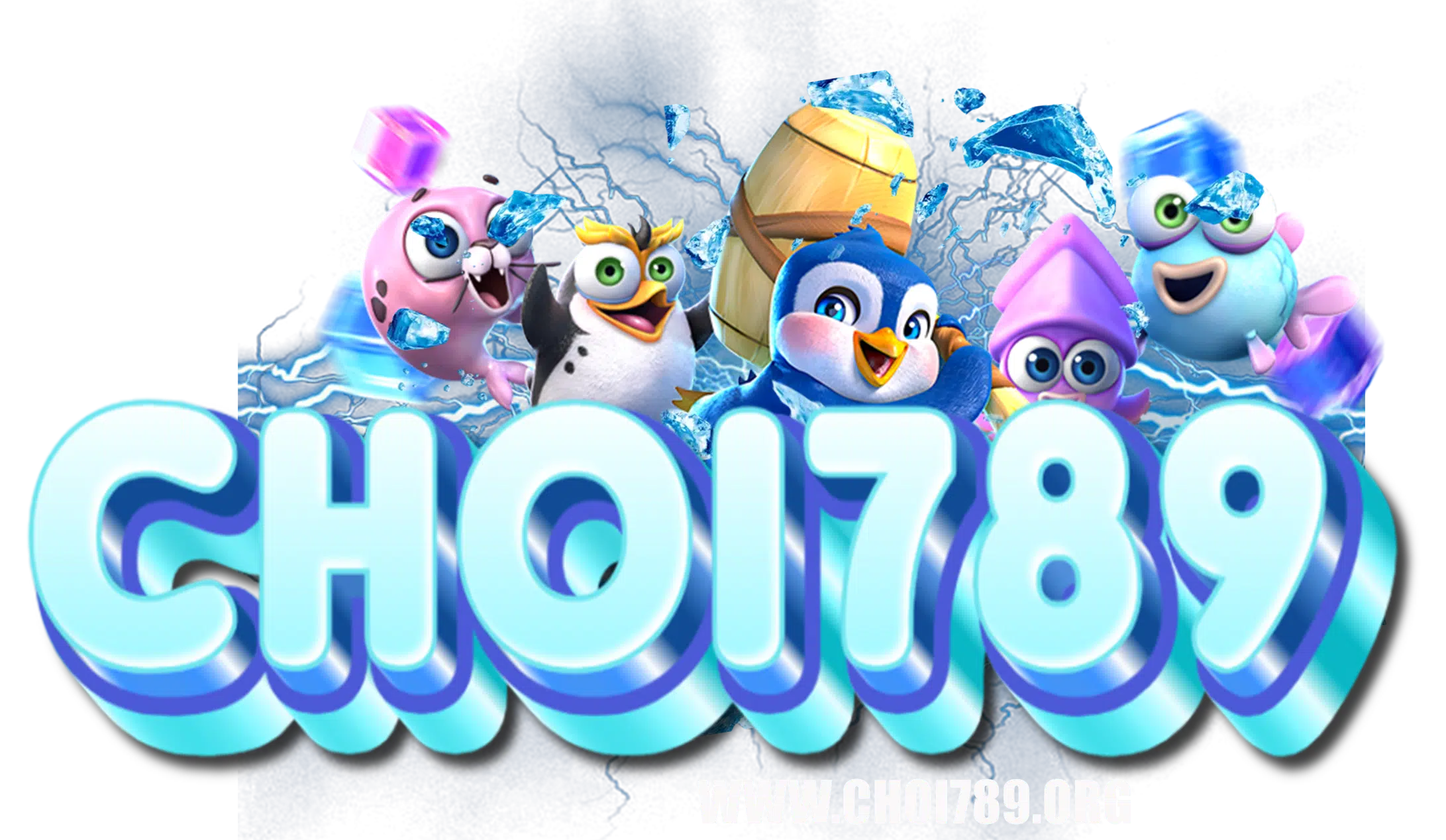 choi789